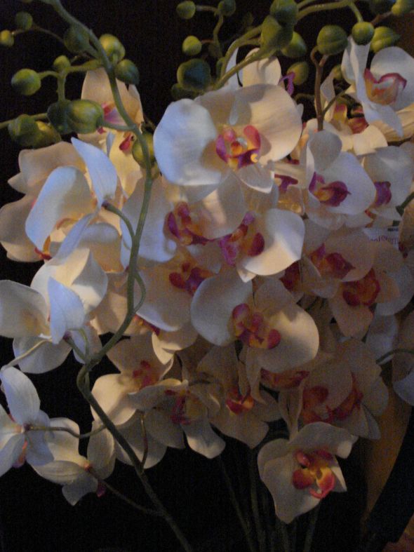 Pink and Cream long stem orchids 25 for sale. :  wedding Wedding Decor 5 030