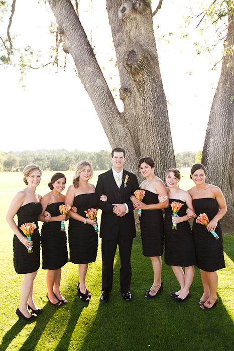 Bridesmaids Dress role call....show em' off girls! :  wedding tidebuycom bridesmaid dresses fall autumn 0636 JenniferEileen Cross MG 2085