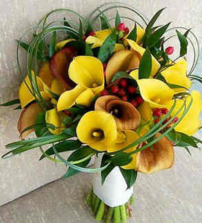 June Brides -- what flowers are you using? :  wedding Yellow Calla Lilies With Cherry Red Hypericum Berries