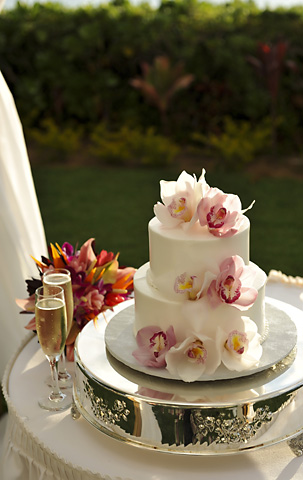 Show me your simple cakes!! :  wedding cake help Cake