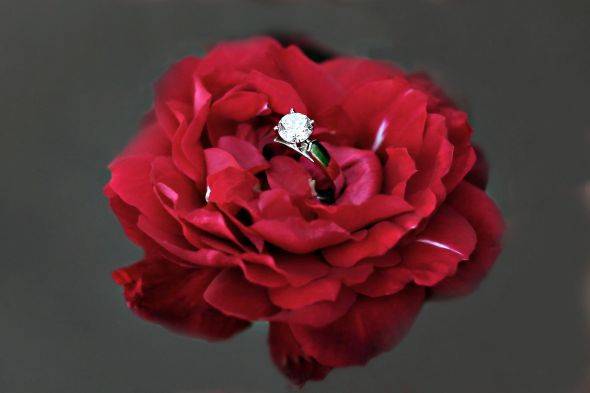 Is clarity really obvious at a glance? : wedding ring diamond clarity Roseringisclarity