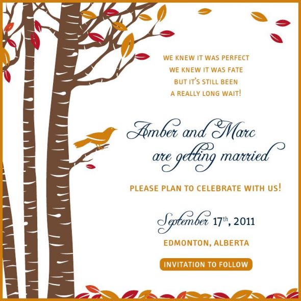 Save The Date- So Excited, Wanted To Share :  wedding SaveTheDate