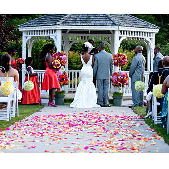 Help Bees! EMERGENCY! :  wedding disaster pergola gazebo emergency Gazebo1