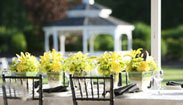 Help Bees! EMERGENCY! :  wedding disaster pergola gazebo emergency Gazebo2