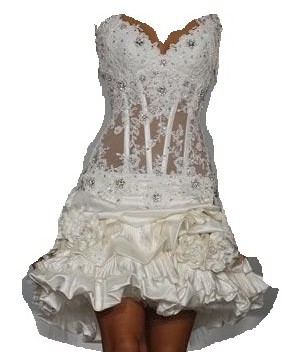 Is this dress TOO SHOCKING?? :  wedding Xiug2011