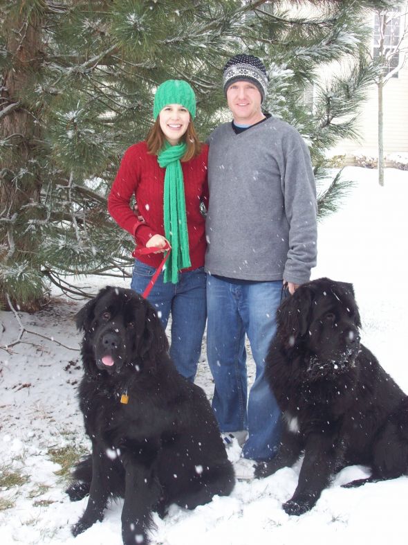 Our Christmas Card Photo :  wedding 100 1480