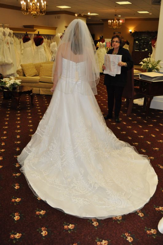 How much and by who? Share your dress experience with me! :) :  wedding 017