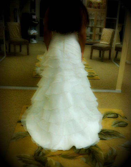 The Biggest No No - Trying on another dress, if you already purchased one! :  wedding dress wedding gown Alluregown2