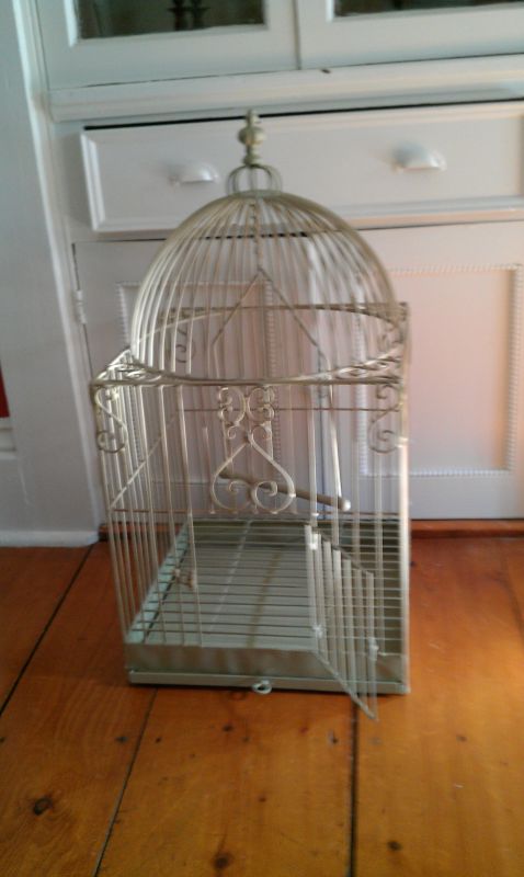 I have a great BIG bird cage that I am using as a card box for my wedding on