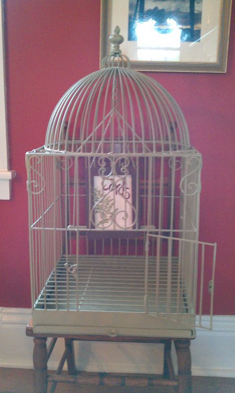 Lots of Garden/Nature/Bird themed items! : wedding BirdCage3