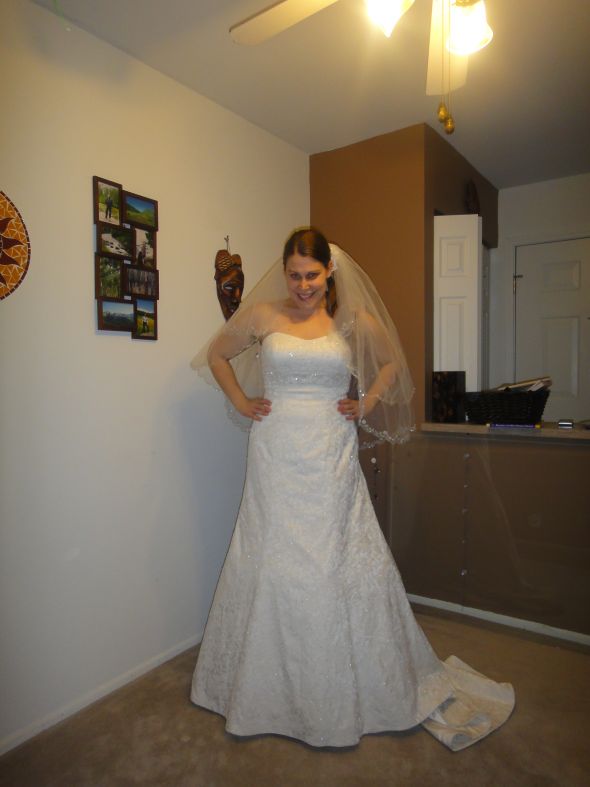 May I See YOU in your David's Bridal Dress? Pretty please!! :  wedding 042j
