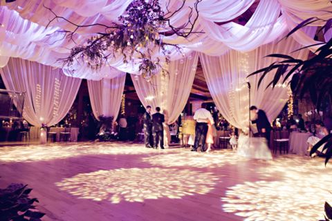 Inspiration :  wedding bouquet cake dress invitations purple reception shoes silver yellow Wedding Drape Drapery Draping Reception Ballroom Dancefloor 42