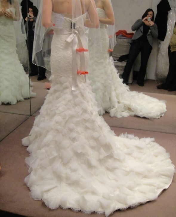 Dress- Opinions Please!!! :  wedding dress help opinions mermaid trumpet Crop2
