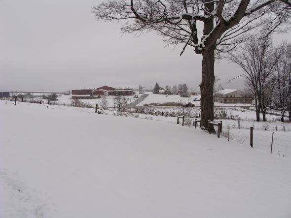 More SNOW pics from my house!!!! :  wedding Lip Pics 005