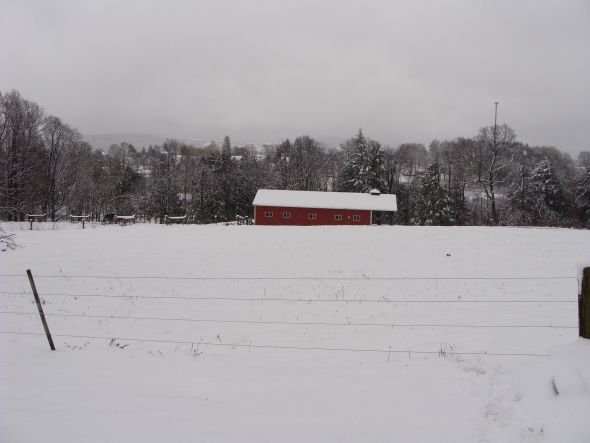 More SNOW pics from my house!!!! :  wedding Lip Pics 006
