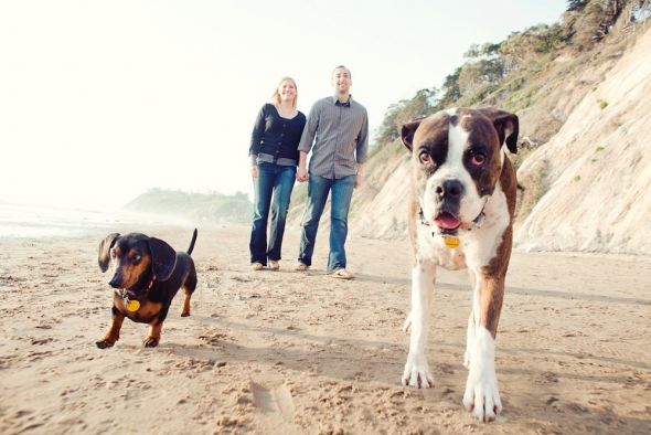 Dogs in the Engagment Photos :  wedding dog pet dogs photography photos idea engagment inspiration 171813 10150101838017819 47175112818 6486810 3950513 O