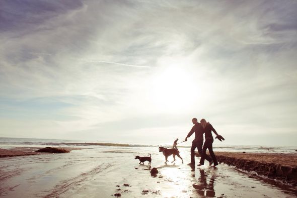 Dogs in the Engagment Photos :  wedding dog pet dogs photography photos idea engagment inspiration 172688 10150101834367819 47175112818 6486743 542909 O