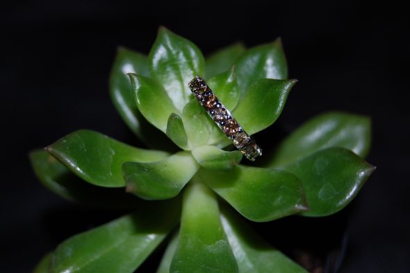 SHOW ME YOUR DIAMOND WEDDING BANDS! :  wedding diamond band carats DSC 0365