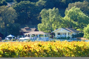 Lets see everyones venue : wedding venue reception decor LincourtVineyards2 LJPhotography 300x199