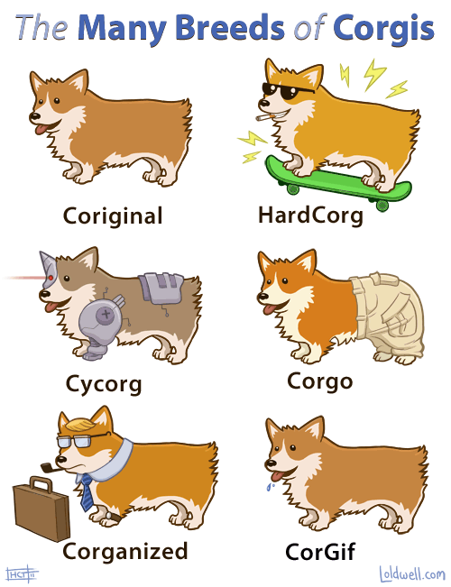 Going to do something I swore I'd never do... :  wedding Corgi