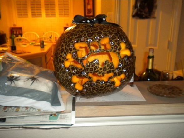 WB Halloween Contest : wedding wb contests Leopard Pumpkin