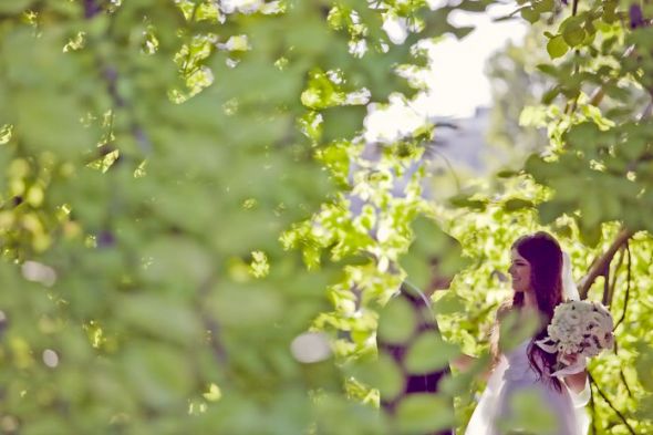 recap! -remember me? -massive cold feet, but we got hitched -PICS! :  wedding Tree