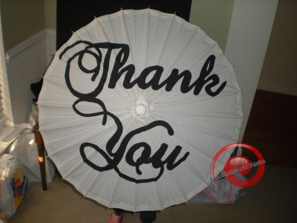 Thank You parasol 25 Lots of Wedding Decor Items wedding feathers 