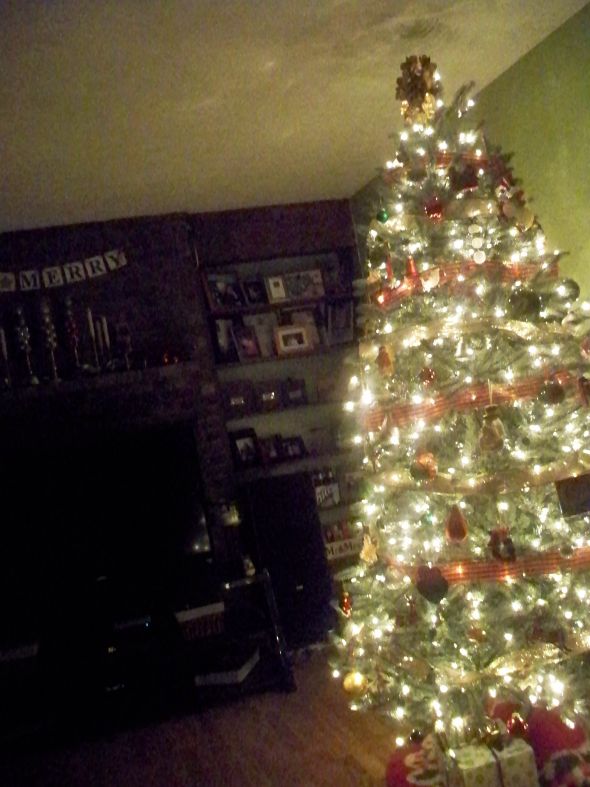 How do you decorate your home for the holidays? :  wedding 100 6038