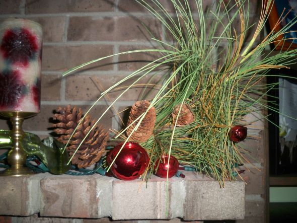 How do you decorate your home for the holidays? :  wedding 100 6113