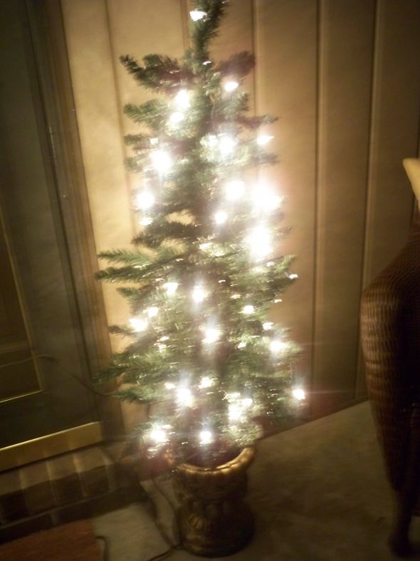 How do you decorate your home for the holidays? :  wedding 100 6144