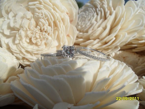 Show me your double claw prongs! :  wedding prongs double claw prongs double prongs rings Engagement Ring