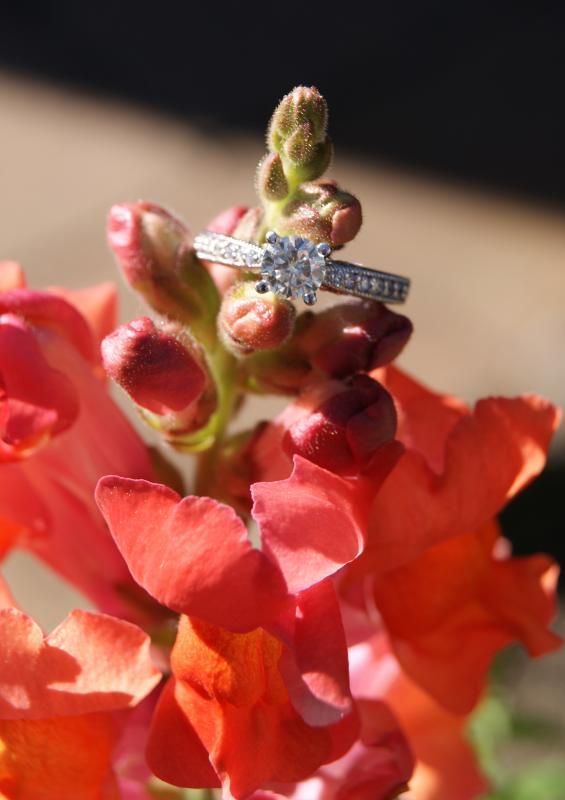 So close but yet soooo far!! If you got a moissanite show'em off.. Please :) :  wedding moissanite rings DSC05324