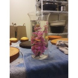 Centerpiece Trial Run! :  wedding centerpieces underwater flowers vases reception pink Centerpieceyo