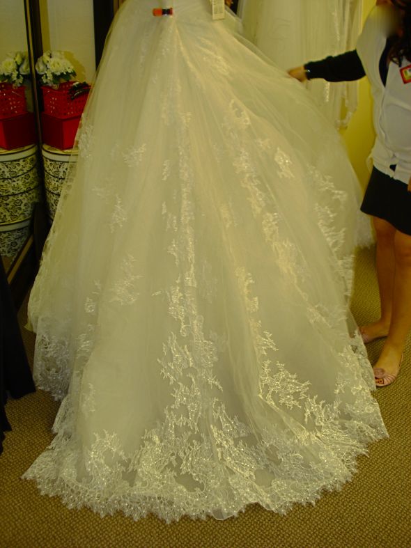 Share your favorite research dress vs. the one you bought! :  wedding DSC03929 2