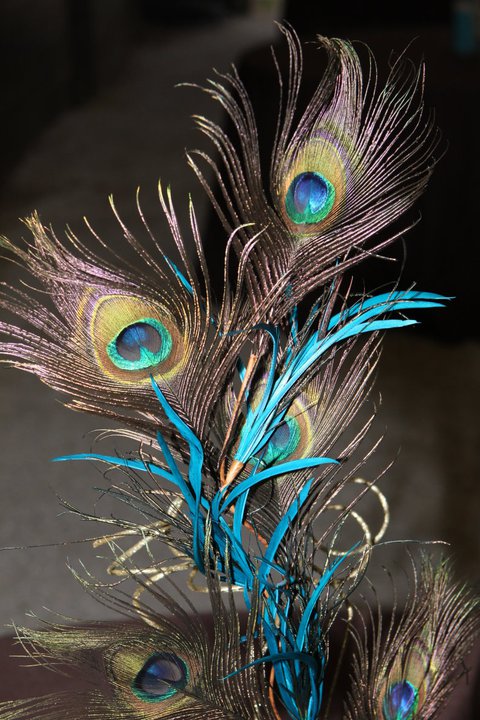 Peacock Feather Sprays Turquoise aquarium rocks for centerpieces wedding 