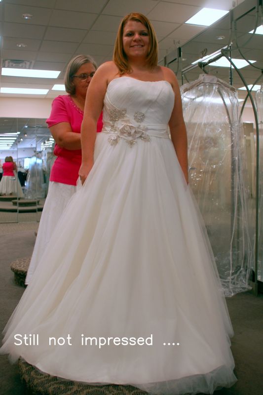 Show me your under $1000.00 dresses :  wedding DSC 0345