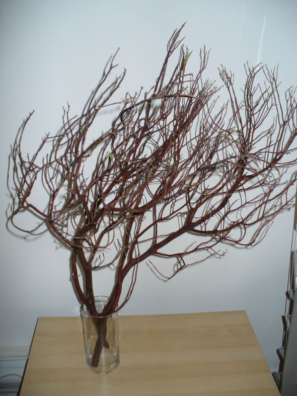 EACH BRANCH 30 TALL PLEASE LOCAL PICK UP ONLY MANZANITA BRANCHES wedding 