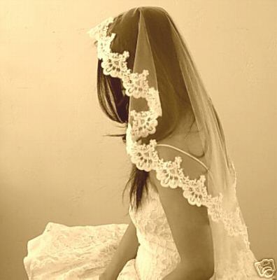 wedding Mantilla Veil BUT I don't think my dress really goes with a 