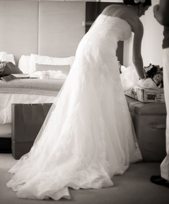 Pronovias La Sposa Lena for sale - street size 6/label size 8 - $900 :  wedding pronovias la sposa lena lace white ivory dress KateKenny 0118 2