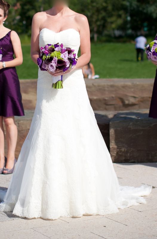 Pronovias La Sposa Lena for sale - street size 6/label size 8 - $900 :  wedding pronovias la sposa lena lace white ivory dress KateKenny 0276 2