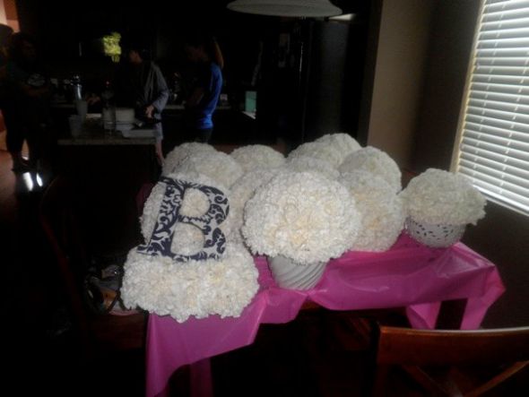 Show us your carnation wedding flowers! : wedding centerpiece carnations pomander flowers dasmask mock up trial 281999 10100656805887765 23410405 60808503 2820987 N