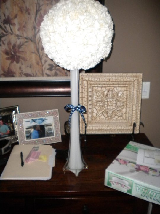 Show us your carnation wedding flowers! : wedding centerpiece carnations pomander flowers dasmask mock up trial 283025 582344585788 116700509 32202692 3440886 N