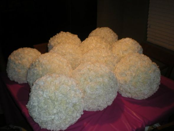Show us your carnation wedding flowers! : wedding centerpiece carnations pomander flowers dasmask mock up trial 285526 2253477932076 1102110066 32711901 5174701 N