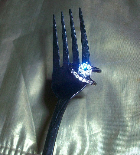 Fun!! Ring scavenger hunt! (pic heavy) Join in! : wedding fun rings scavenger hunt photography Fork