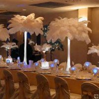 Centerpiece Help! :  wedding centerpiece Ostrichcenterpiece