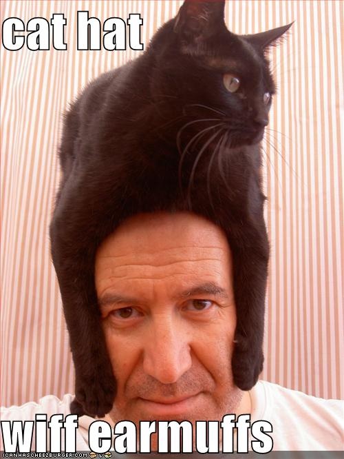 ** PLEASE REVIEW** Coexisting on Weddingbee : wedding sticky coexisting blue hat Funny Pictures Cat Hat Head