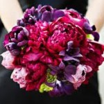 2012 brides--- what are your wedding colors???? :  wedding 2012 wedding wedding colors 2012 colors Pinkpurple B