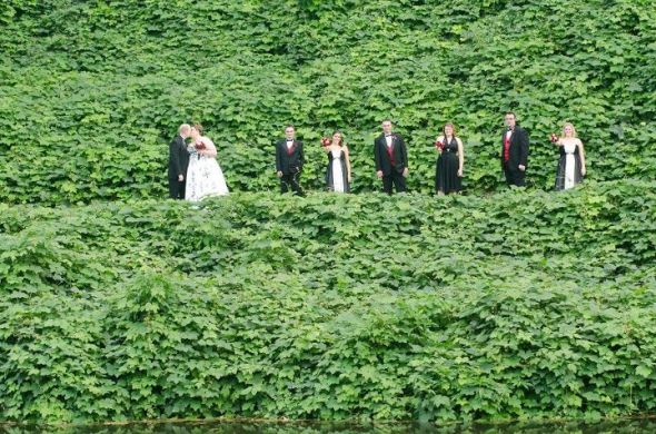 August 6th, 2011 - A Few More Pictures! :  wedding cake pictures wedding professional 297482 10150760334660517 503685516 19810296 699157 N