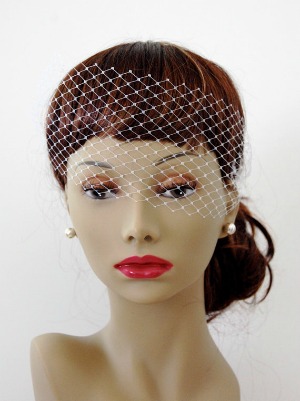 Purchased my bridcage and fascinator from etsy!! :  wedding birdcage veil feather fascinator etsy bandeau birdcage hair peice veil Bandeau Birdcage