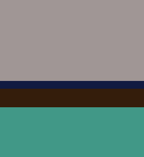 Robin's egg, navy, dove gray, chocolate...